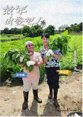 恐龙化石盲盒